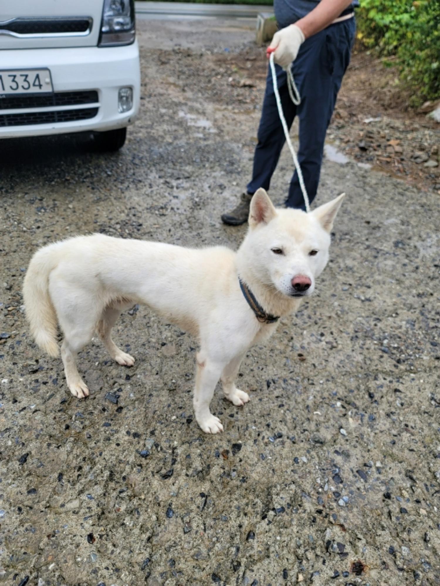 괴산증평동물보호센터_443446202400371